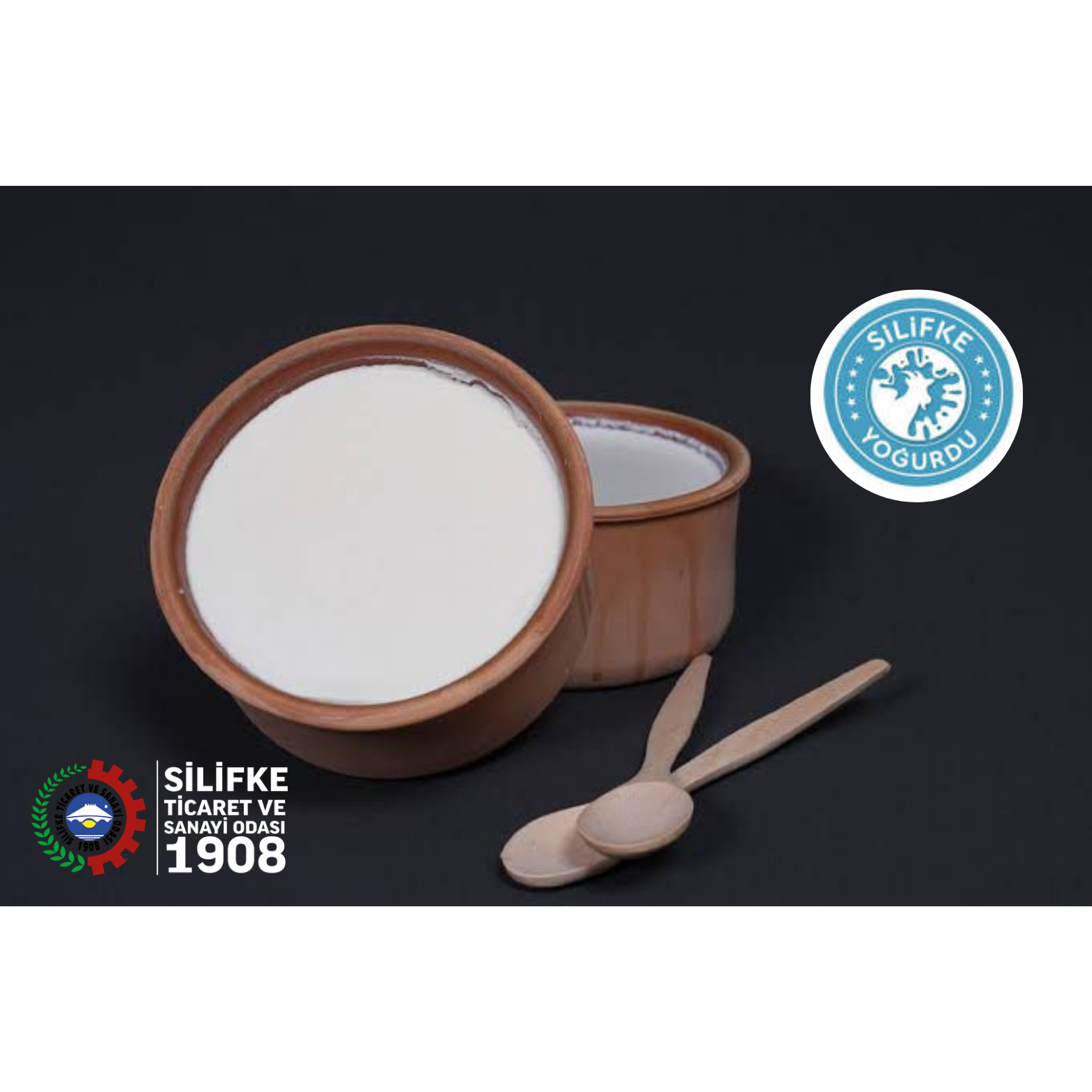 TÜRKİYE’Yİ AB KOMİSYONUNDA TEMSİL EDEN  İLK TÜRK YOĞURDU